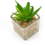 Pami Accessories Planta suculenta artificiala in ghiveci F419-297-7 Pami Flower 5x5.5 cm Verde