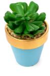 Pami Accessories Planta suculenta artificiala in ghiveci F419-303-5 Pami Flower 7x7 cm Verde