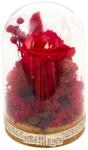 Pami Accessories Trandafir criogenat in cupola de sticla Pami Flower 12.5x8 cm Rosu