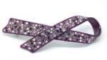 Pami Accessories Clama de par cu cristale Swarovski, panglica, mov