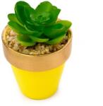 Pami Accessories Planta suculenta artificiala in ghiveci F419-303-10 Pami Flower 7x7 cm Verde