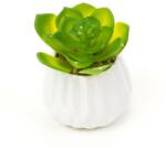 Pami Accessories Planta suculenta artificiala in ghiveci F419-300-1 Pami Flower 5x7.5 cm Verde