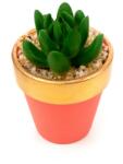 Pami Accessories Planta suculenta artificiala in ghiveci F419-303-2 Pami Flower 7x7 cm Verde