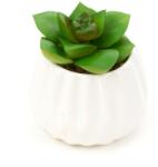 Pami Accessories Planta suculenta artificiala in ghiveci F419-300-10 Pami Flower 5x7.5 cm Verde