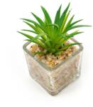 Pami Accessories Planta suculenta artificiala in ghiveci F419-297-11 Pami Flower 5x5.5 cm Verde