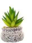 Pami Accessories Planta suculenta artificiala tip magnet frigider Pami Flower 6x3.5 cm Verde F419-293-6