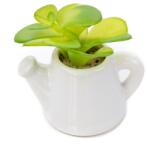 Pami Accessories Planta suculenta artificiala in ghiveci F419-299-8 Pami Flower 5x5 cm Verde