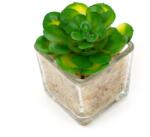 Pami Accessories Planta suculenta artificiala in ghiveci F419-297-6 Pami Flower 5x5.5 cm Verde