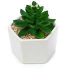 Pami Accessories Planta suculenta artificiala in ghiveci F419-308-1 Pami Flower 5x6.5 cm Verde