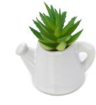 Pami Accessories Planta suculenta artificiala in ghiveci F419-299-10 Pami Flower 5x5 cm Verde