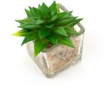 Pami Accessories Planta suculenta artificiala in ghiveci F419-297-12 Pami Flower 5x5.5 cm Verde