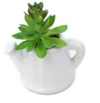 Pami Accessories Planta suculenta artificiala in ghiveci F419-299-2 Pami Flower 5x5 cm Verde