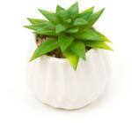 Pami Accessories Planta suculenta artificiala in ghiveci F419-300-12 Pami Flower 5x7.5 cm Verde