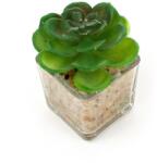 Pami Accessories Planta suculenta artificiala in ghiveci F419-297-9 Pami Flower 5x5.5 cm Verde