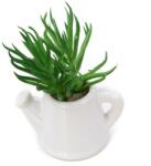 Pami Accessories Planta suculenta artificiala in ghiveci F419-299-6 Pami Flower 5x5 cm Verde