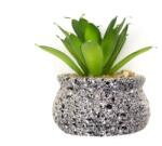 Pami Accessories Planta suculenta artificiala tip magnet frigider Pami Flower 6x3.5 cm Verde F419-293-9