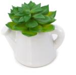 Pami Accessories Planta suculenta artificiala in ghiveci F419-299-12 Pami Flower 5x5 cm Verde