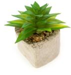 Pami Accessories Planta suculenta artificiala in ghiveci F419-296-10 Pami Flower 4x5.5 cm Verde