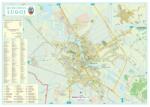  Harta Municipiului Lugoj TM - șipci de lemn