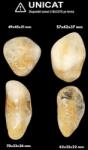 Palm Stone Citrin Natural (Incalzit) Brazilia - 49-70 x 33-45 x 21-37 mm - ( XXL )