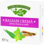 MANICOS Balsam Crema Pentru Frunte si Ceafa cu Eucalipt, Menta si Scortisoara 15g