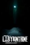 Valko Game Studios Labyrinthine (PC)