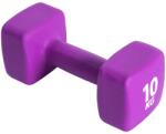 Pure2improve Ganteră, violet, neopren, 10 kg P2I201460 (427695)