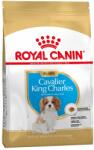 Royal Canin 1, 5kg Royal Canin Spaniel Puppy száraz kutyatáp
