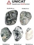 Palm Stone Agata Copac Natural - 50-65 x 31-49 x 22-40 mm - ( XXL )