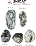 Palm Stone Agata Copac Natural - 38-71 x 28-41 x 25-32 mm - ( XXL )