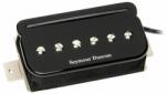 Seymour Duncan TBPR-1 P-Rails Trembucker - Black