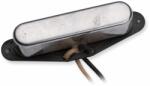Seymour Duncan Antiquity '55 Telecaster Neck