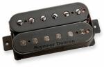 Seymour Duncan Sentient PMT Neck
