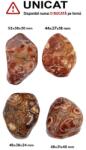 Palm Stone Riolit Bird Eyes Rosu Natural - 44-52 x 31-38 x 18-40 mm - ( XXL )