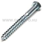  Állványcsavar 6x 80mm 10db/doboz(JKH) (3904038)