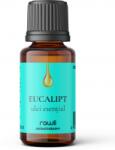 RAWLI Ulei esential eucalipt 10ml RAWLI