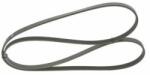 Bosch Curea transmisie cu caneluri BOSCH 1 987 946 234 (1 987 946 234) - automobilus