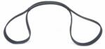Bosch Curea transmisie cu caneluri BOSCH 1 987 946 261 (1 987 946 261) - automobilus