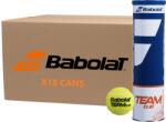 Babolat Mingi tenis camp Babolat Team Clay x72 (502080)