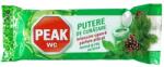 PEAK Odorizant rezerva wc 40 g menta si pin Peak IS11503 (IS11503)