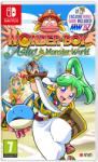 ININ Games Wonder Boy Asha in Monster World (Switch)