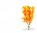 JK Műnövény Orange Ludwigia 13-16 cm