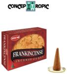 HEM Conuri Parfumate HEM Frankincense Hem Incense Cones 20 g