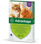 Bayer Advantage 40 nyúl/macska spot on 4-8kg 4x