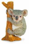 CollectA Koala - Collecta (COL88356M) Figurina