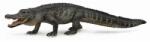 CollectA Figurina pictata manual Aligator American (COL88609L) Figurina