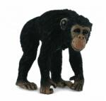 CollectA Cimpanzeu Femela - Collecta (COL88493M) Figurina
