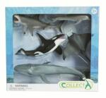 CollectA Set de 5 figurine pictate manual Viata Marina (COL84072WB) - ookee Figurina