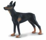 CollectA Figurina pictata manual caine Doberman Pinscher (COL88086L) - ookee Figurina