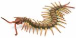 CollectA Figurina pictata manual Miriapod (COL88885L) Figurina